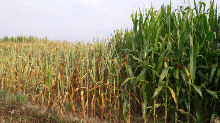 Iskoristite potpore osiguranja usjeva, životinja i biljaka
