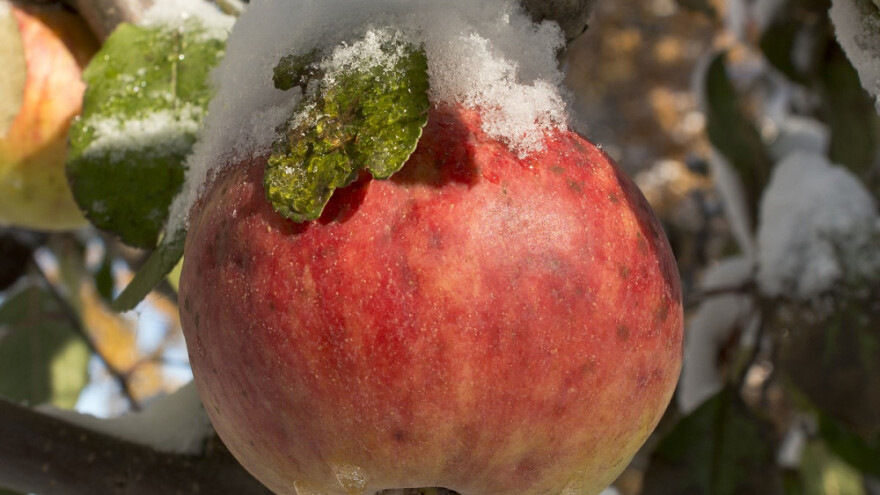 Malo koji poljoprivrednik osigurava voćnjake