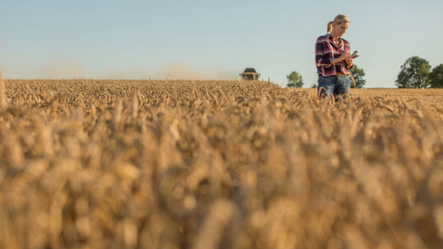 Kako se prijaviti za potporu osiguranju usjeva?