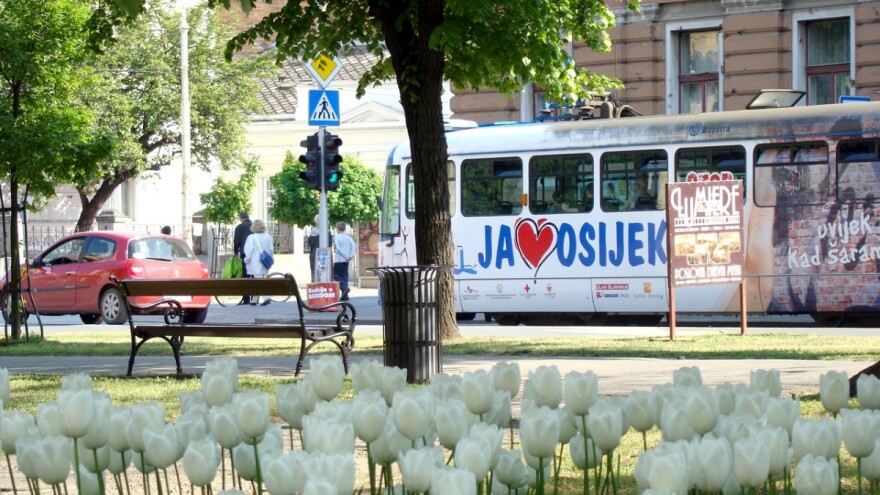 Drvećem i grmljem protiv globalnog zatopljenja - što više sadimo, klima će nam biti ugodnija