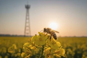 Osim pesticida pčelama prijete i telekomunikacijski uređaji