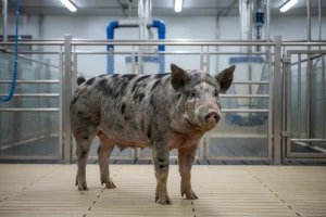 Osječki CUO predstavio svoju ponudu sjemena