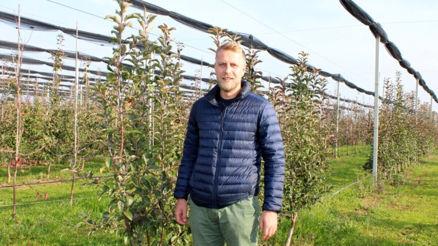 Šta mora znati voćar 21. stoljeća i koje su sorte budućnosti kod jabuka?