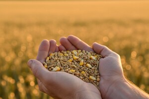 Osmi međunarodni kongres oplemenjivanja bilja