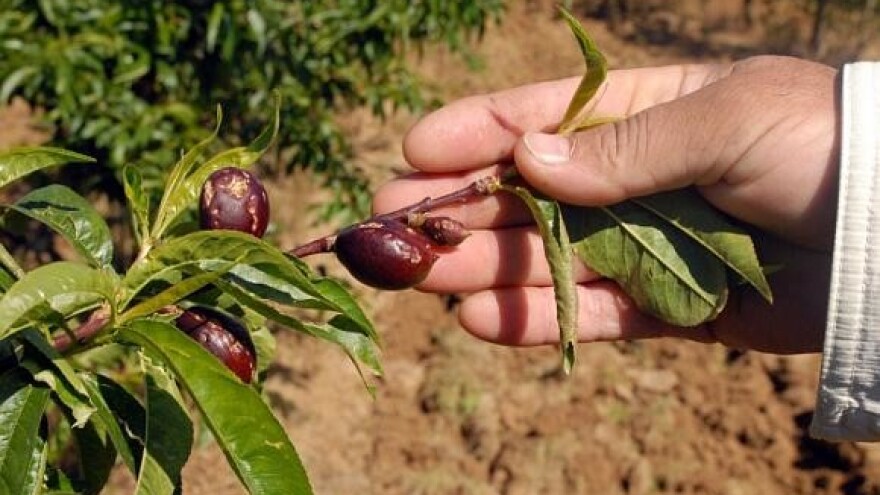 U pola sata izgubio 1,5 milijun kuna