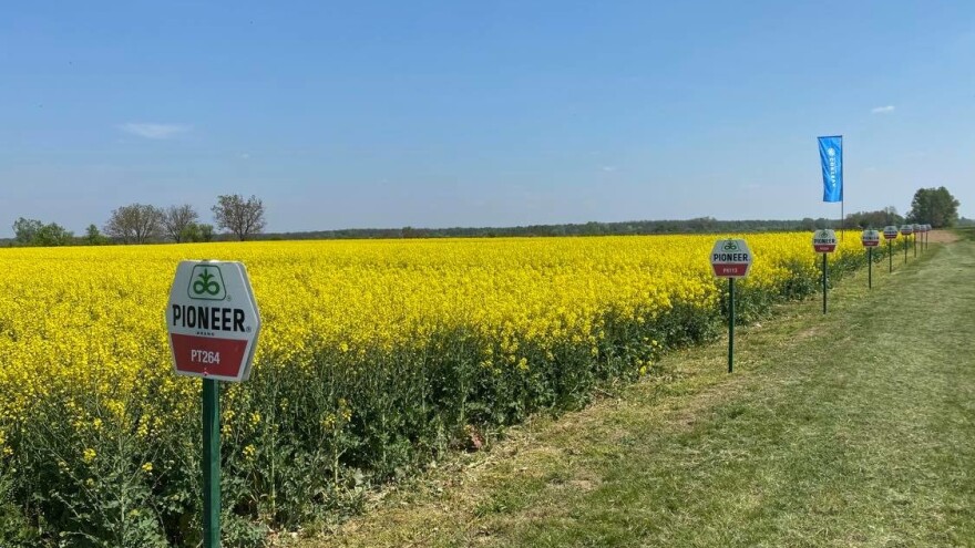 Obitelj Ostrihon: Do vrhunskih prinosa primjenom prave agrotehnike i novih tehnologija