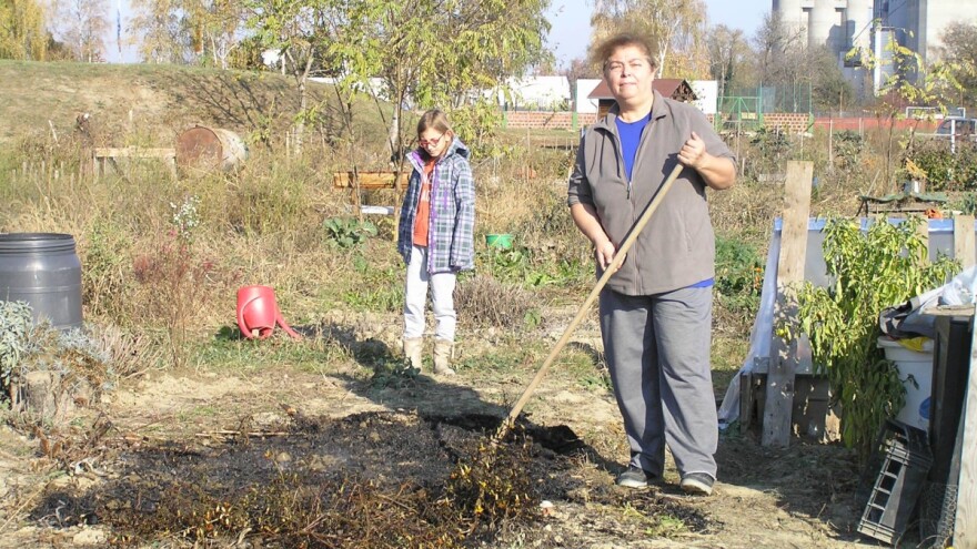 Urbani vrtlari iz Osijeka ne miruju zimi - sugrađanima pripremaju radionice i degustacije
