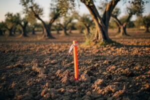 Otimačina poljoprivrednog zemljišta mora prestati