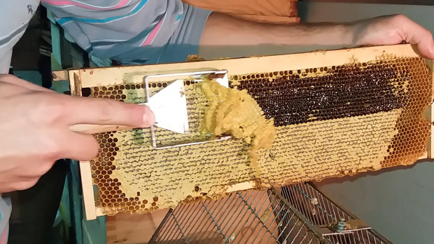 Zoran Đurđević osmislio inovativnu viljušku za otklapanje saća