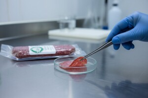 Otkrivena svinjetina u goveđoj salami