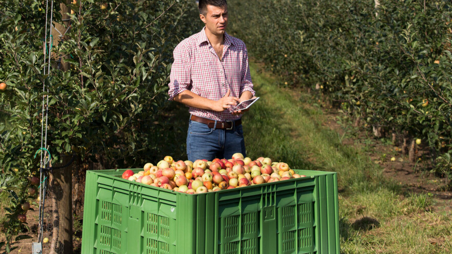 Voćarima RS hitno treba velika hladnjača i kontrola uvoza - Vlada RS tvrdi da već dovoljno ulaže u voćarstvo