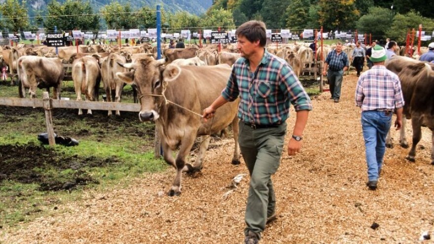 Belje raskinulo ugovore sa 600 kooperanata!