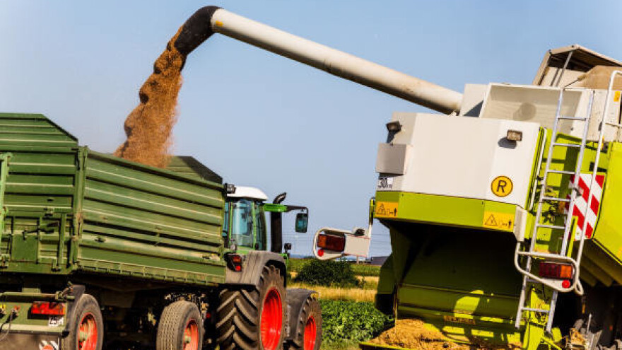 Otkupna cena pšenice 19 dinara bez odbitaka