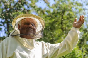 Počeo otkup meda - cijena 25 do 35 kn/kg na veliko!