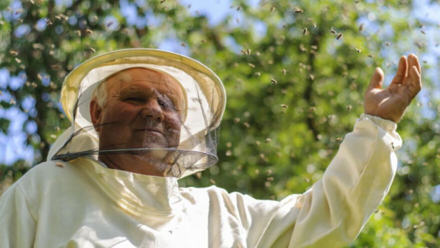 Počeo otkup meda - cijena 25 do 35 kn/kg na veliko!