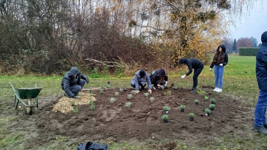 U Čakovcu niknula prva šuma hrane koja će biti javno dostupna građanima