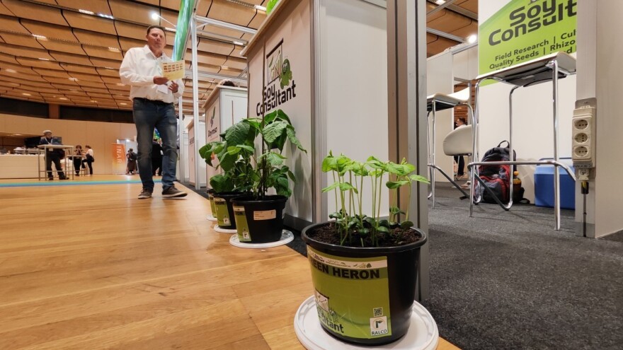 Soja u svetu - proizvodiće se više sa manje