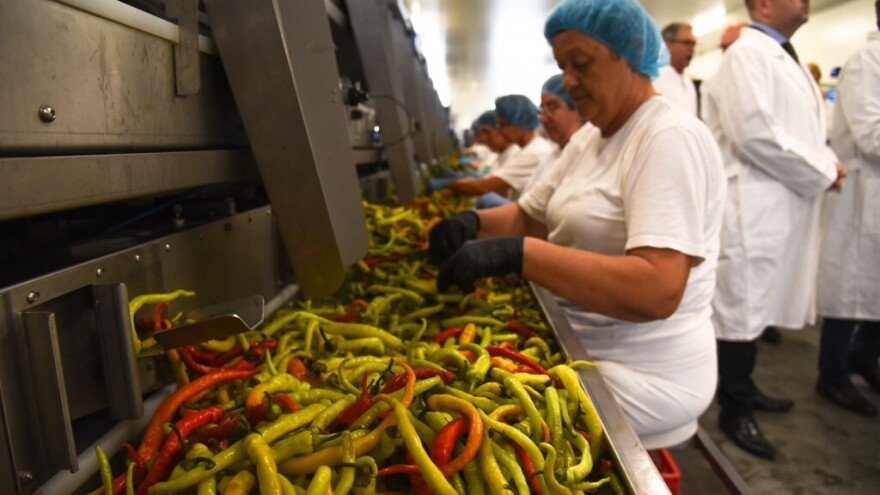 Nemci otvorili fabriku u Gospođincima - posao za 250 radnika