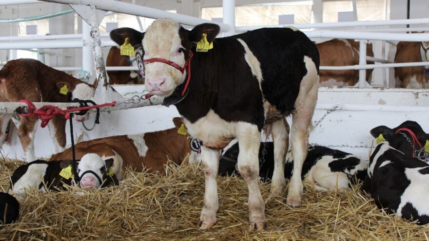 Otvoreno je savjetovanje za primarne proizvođače, osigurano 53 milijuna kuna