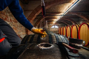 Otvoren natječaj za vinarije: Do 1,5 milijuna eura za ulaganja