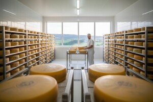 Otvorena nova sirana vrijedna 35 milijuna kuna!