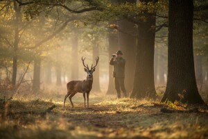 Otvorena sezona lova na srndaće