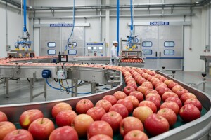 Otvorenje objekta za preradu i skladištenje voća