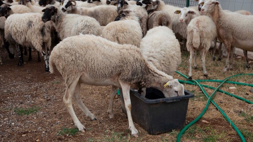 Krenula je dostava odluka za nacionalne potpore, provjerite Agronet
