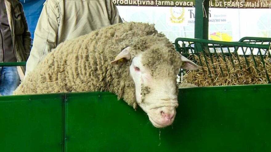 Ministarstvo poljoprivrede daje podsticaje za osiguranje životinja i useva