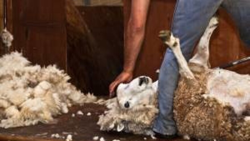 Olakšana proizvodnja za ovčare i kozare?