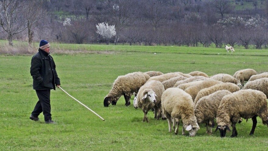 Poticaji neće biti isplaćeni još najmanje mjesec dana?!