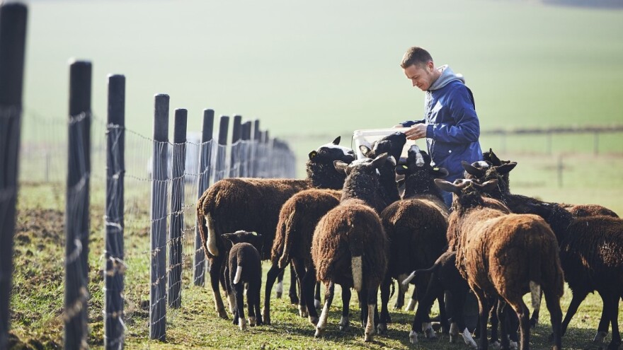 Bodovna lista podložna promenama, isplata za mlade poljoprivrednike do kraja godine