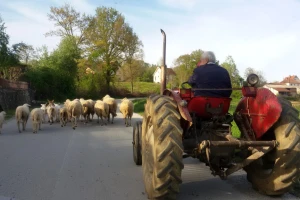 Prevrnuo se traktorista kod Ivanjice: Preminuo na licu mesta