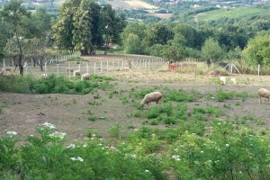 Sunčano i toplo, na planinama od četvrtka moguća kiša