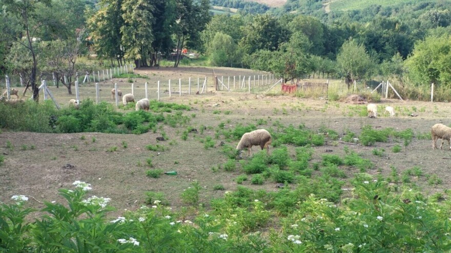 Sunčano i toplo, na planinama od četvrtka moguća kiša