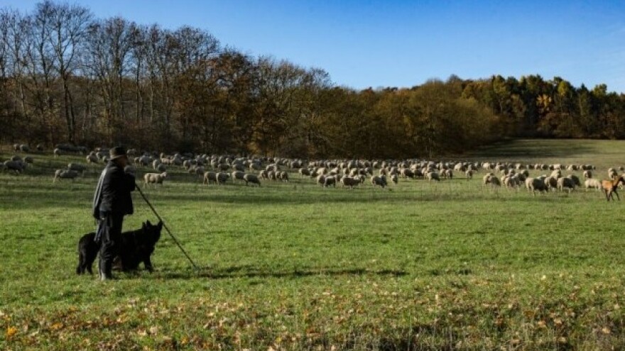 Za poljoprivrednu mehanizaciju 374 tisuće kuna