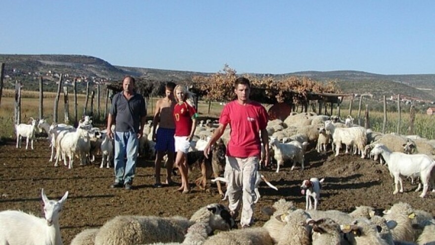 Paški sir Gligora osvojio Ameriku!