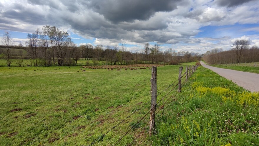 Dosta kiše i u maju - slijedi stabilizacija, pa pogoršanje vremena