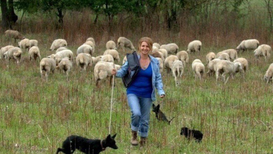 Česi pomažu zaštitu livanjskog sira!