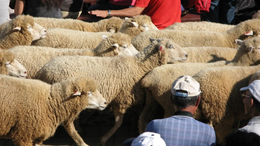 Istarski i zagrebački sirari zajedno su jači