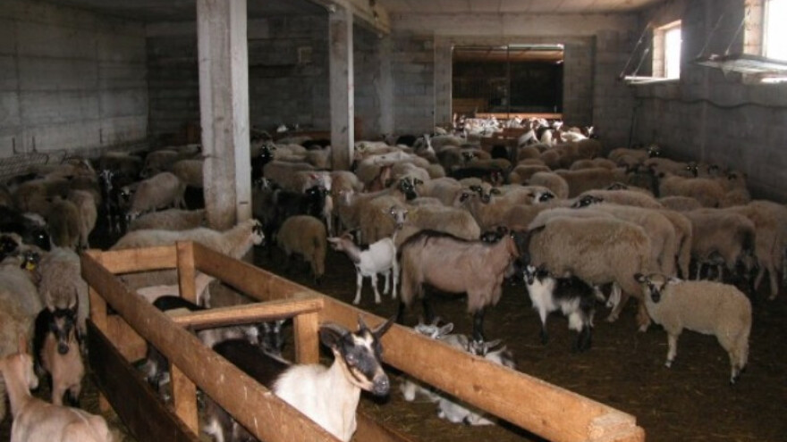 Sufinanciranje solarnih panela na štalama