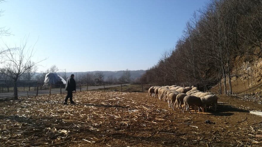 Zadruga povezala tri jagodinska sela