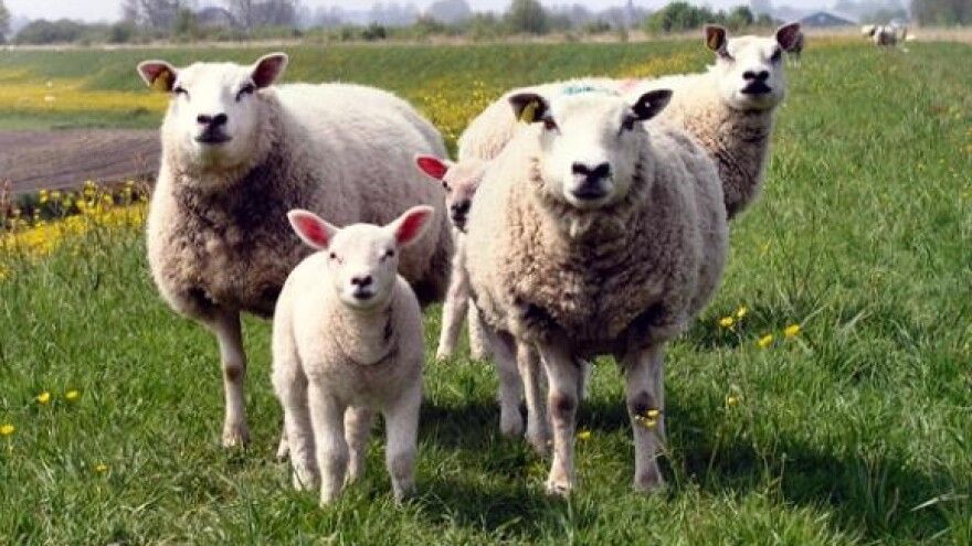 Uzgojnim programom do oznake izvornosti