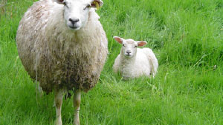 I stočari bezemljaši dobit će poticaje