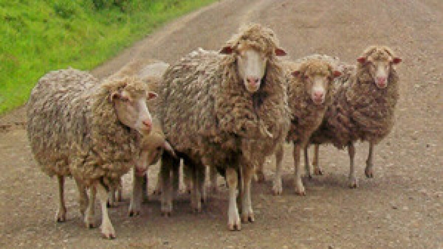 Samoubojstva francuskih poljoprivrednika