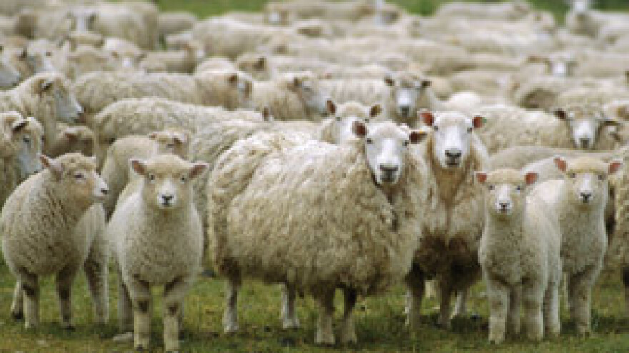 Dogovoren otkup vune