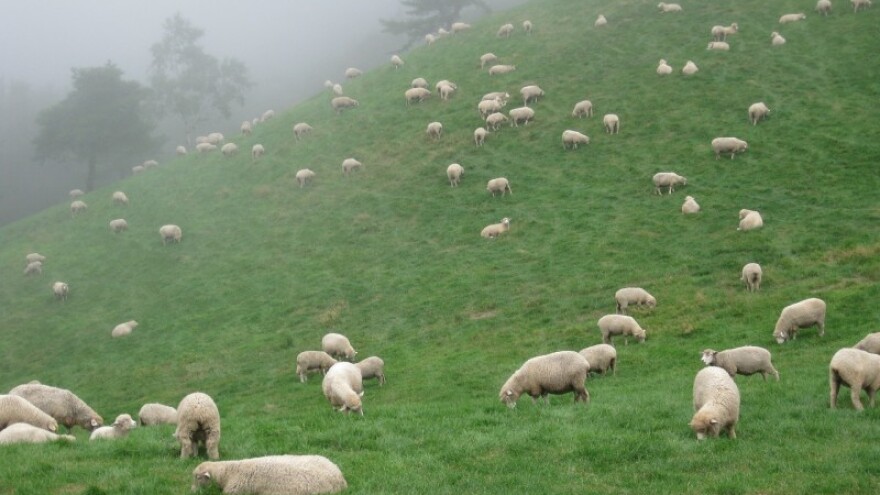 Većinom oblačno s povremenom kišom!