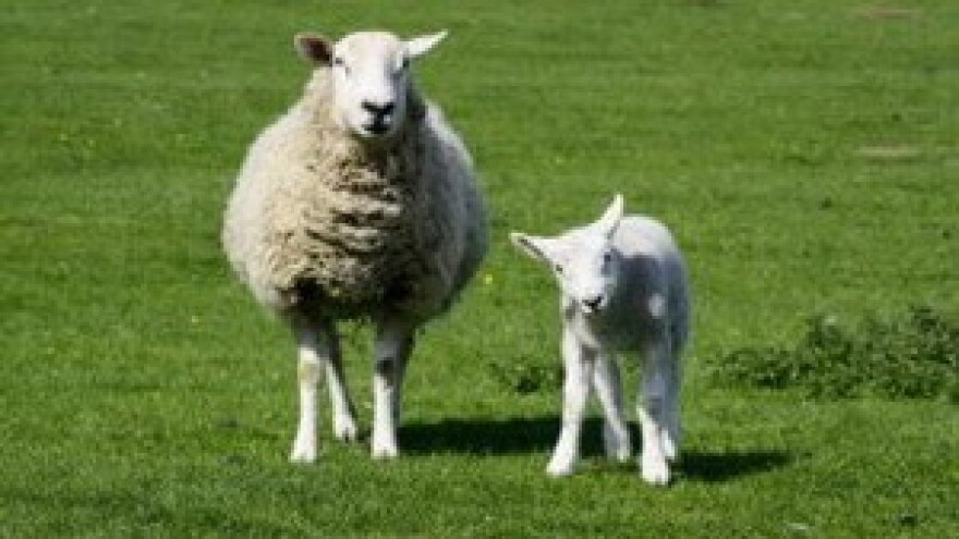 Kako i kada do sredstava za ruralni razvoj?