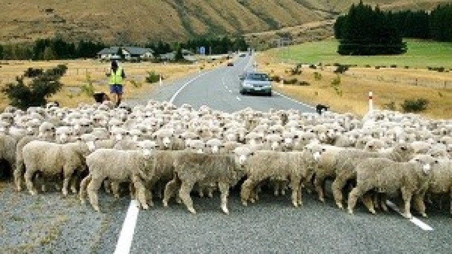 Na putu do cilja - Program ruralnog razvoja