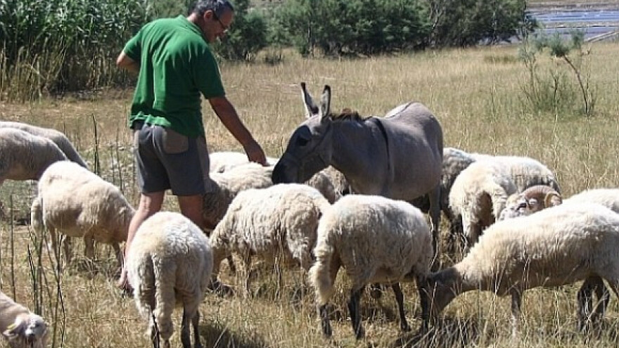 Bez OPG-a, obitelji postaju socijalni slučajevi